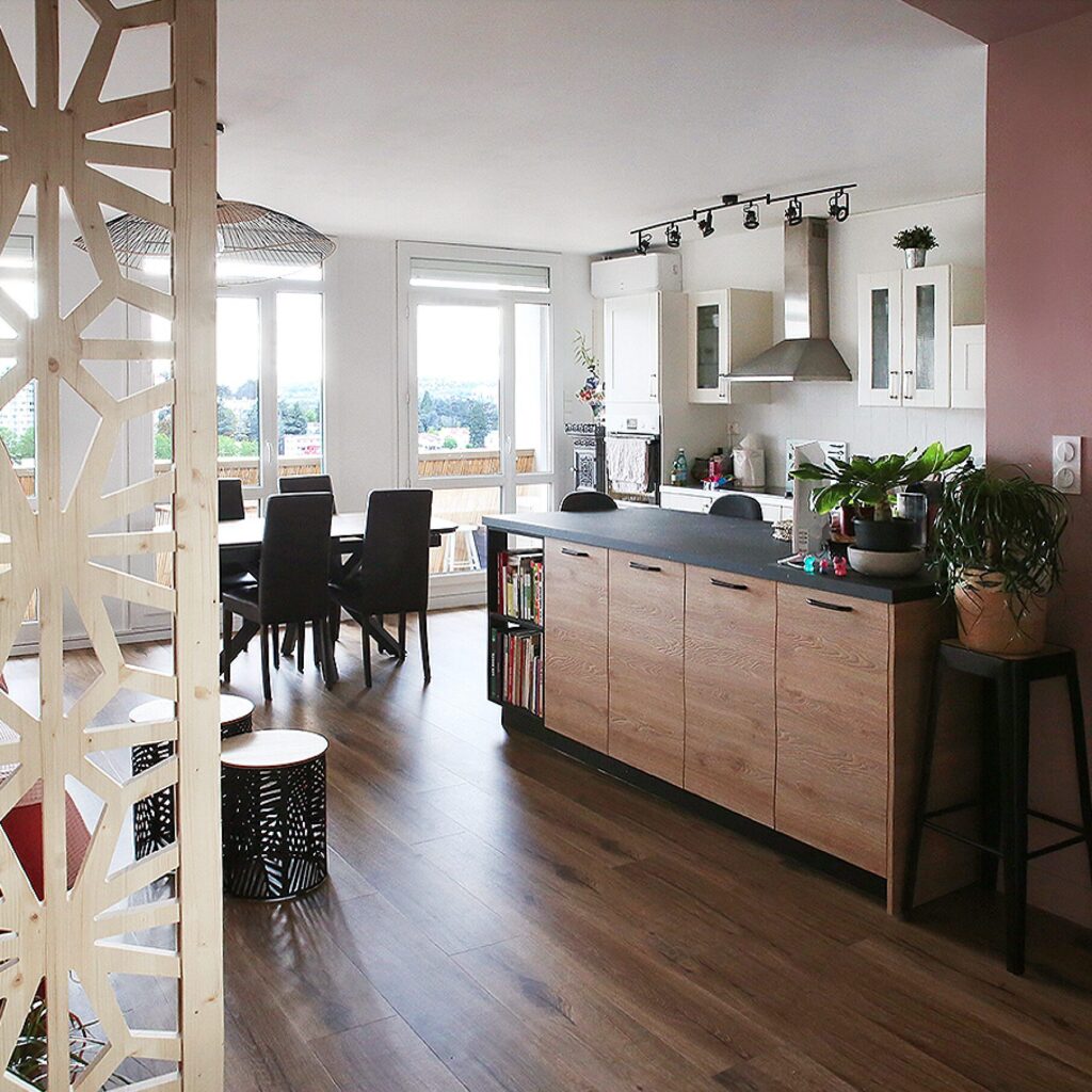 1 Renovation salon appartement SaintEtienne
