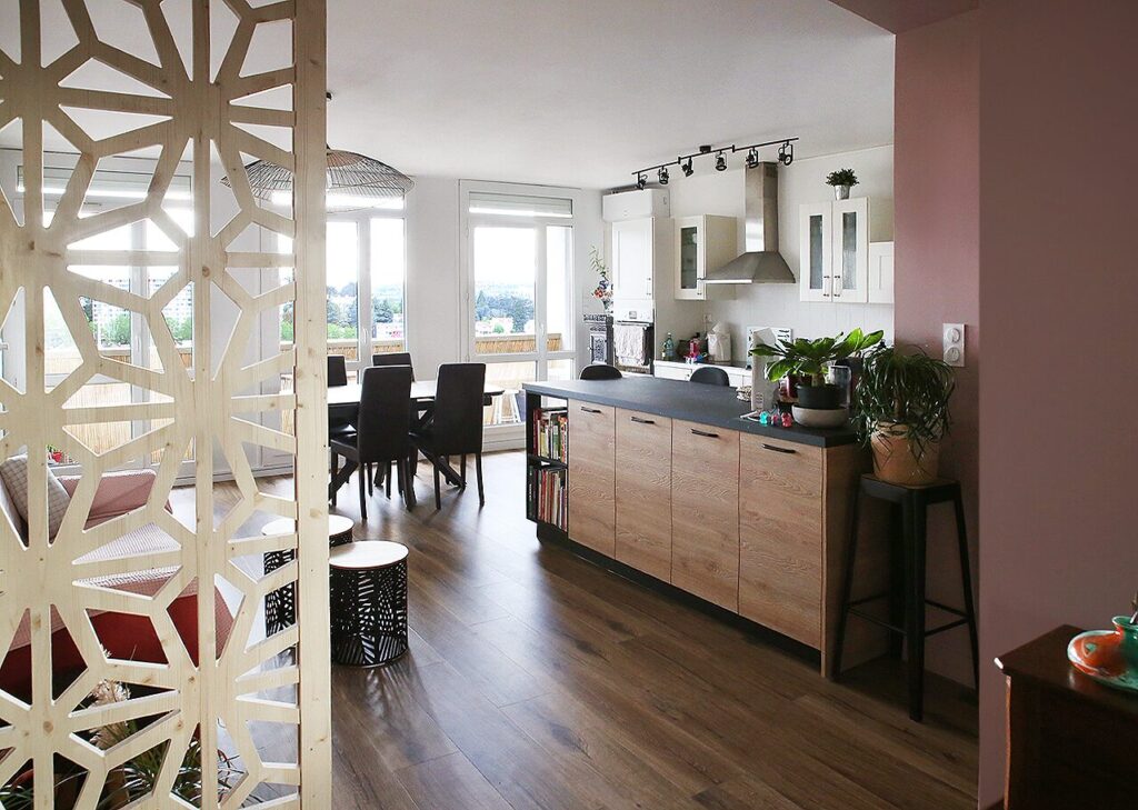 2 Renovation salon appartement SaintEtienne Salon