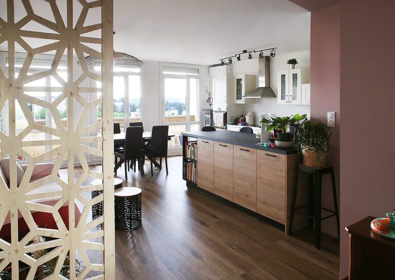 2 Renovation salon appartement SaintEtienne Salon