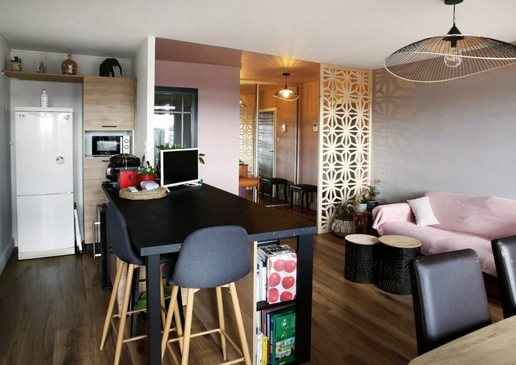 4 Renovation salon appartement SaintEtienne